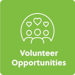 CHC_Website_HomePageGraphics_2025-19